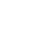 SRIJ — Serviço de Regulação e Inspeção de Jogos